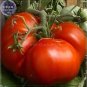 100 PCS Seeds Super Rare Red Giant Competition Tomato