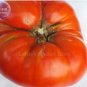100 PCS Seeds Super Rare Red Giant Competition Tomato
