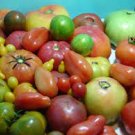100 PCS Seeds Super Surprise Mix Tomato
