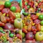 100 PCS Seeds Super Surprise Mix Tomato