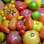 100 PCS Seeds Super Surprise Mix Tomato
