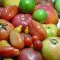100 PCS Seeds Super Surprise Mix Tomato