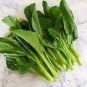 260 PCS Seeds Sweet and Tender Choy Sum Organic Cabbage