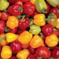 30 PCS Seeds Sweet Bell Pepper Mixed