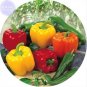 30 PCS Seeds Sweet Bell Pepper Mixed