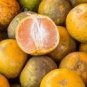 20 PCS Seeds Sweet Citrus Tangerina