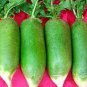 2 PCS Seeds Sweet Green Radish Chinese Turnip Organic Green Vegetable