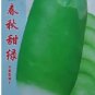 2 PCS Seeds Sweet Green Radish Chinese Turnip Organic Green Vegetable
