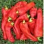 200 PCS Seeds Sweet Hot Pepper Chili