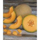 500 PCS Seeds Sweet Melon 'Luzun' Hybrid Fruit