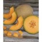 500 PCS Seeds Sweet Melon 'Luzun' Hybrid Fruit