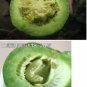 500 PCS Seeds Sweet Melon 'Luzun' Hybrid Fruit