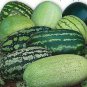 70 PCS Seeds Sweet Melon Orange Inside Green Skin Organic Fruit