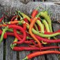 50 PCS Seeds Sweet Pepper Corbaci Turkish Heirloom