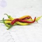 50 PCS Seeds Sweet Pepper Corbaci Turkish Heirloom