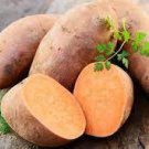 20 PCS Seeds Sweet Potato Fresh Food Vegetable Farm Garden Plants Red Purple Potato 20 PCS Seeds Sweet Potato Fresh Food Vegetable Farm Garden Plants Red Purple Potato