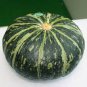 10 PCS Seeds Sweet Pumpkin
