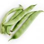 5 PCS Seeds Sword Beans Green Color