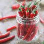20 PCS Seeds Szechwan Red Round Pickled Hot Chili Vegetable