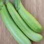 10 PCS Seeds Taiwan Green Long Eggplant