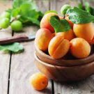 20 PCS Seeds Taste Sour Sweet Yellow Round Apricot 20 PCS Seeds Taste Sour Sweet Yellow Round Apricot