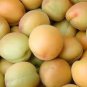 20 PCS Seeds Taste Sour Sweet Yellow Round Apricot