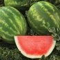 20 PCS Seeds The Rarest Red Mini Thumb Watermelon