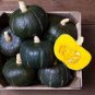 10 PCS Seeds The Standard Buttercup Squash Vegetables Organic
