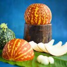 100 PCS Seeds Tigger Tiger Miniature Personal Melon Heirloom Cucumis Melo