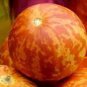 100 PCS Seeds Tigger Tiger Miniature Personal Melon Heirloom Cucumis Melo