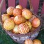100 PCS Seeds Tigger Tiger Miniature Personal Melon Heirloom Cucumis Melo