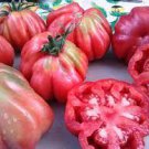 100 PCS Seeds Tlacolula Pink Giant Tomato 100 PCS Seeds Tlacolula Pink Giant Tomato