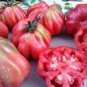 100 PCS Seeds Tlacolula Pink Giant Tomato