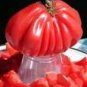 100 PCS Seeds Tlacolula Pink Giant Tomato