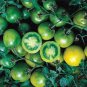 200 PCS Seeds Tomato 'green grape' Sweet Fruit