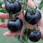 100 PCS Seeds Tomato Cherry Black Vegetable