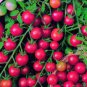 100 PCS Seeds Tomato Cherry 'Rose Red Grape' Fruit