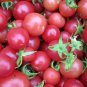 100 PCS Seeds Tomato Cherry 'Rose Red Grape' Fruit