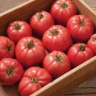 150 PCS Seeds Tomato France Long Pinkish Red Fruit Vegetable