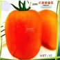100 PCS Seeds Tomato 'mango' Orange Fruit Vegetable