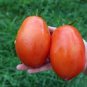 100 PCS Seeds Tomato SuperSauce Hybrid