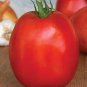 100 PCS Seeds Tomato SuperSauce Hybrid