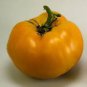 200 PCS Seeds Tomato Yellow 'Beef Heart' Organic Vegetable