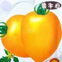200 PCS Seeds Tomato Yellow 'Beef Heart' Organic Vegetable
