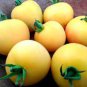 300 PCS Seeds Tomato Yellow 'Golden Peach' Sweet Fruit