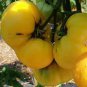300 PCS Seeds Tomato Yellow 'Golden Peach' Sweet Fruit