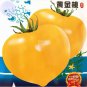 300 PCS Seeds Tomato Yellow 'Golden Peach' Sweet Fruit