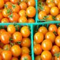 200 PCS Seeds Tomato Yellow Skin Red Top Middle-sized Fruit