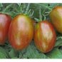 100 PCS Seeds Trailing Tumbling Tomato