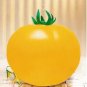 20 PCS Seeds True Variety Big Yellow Tomato